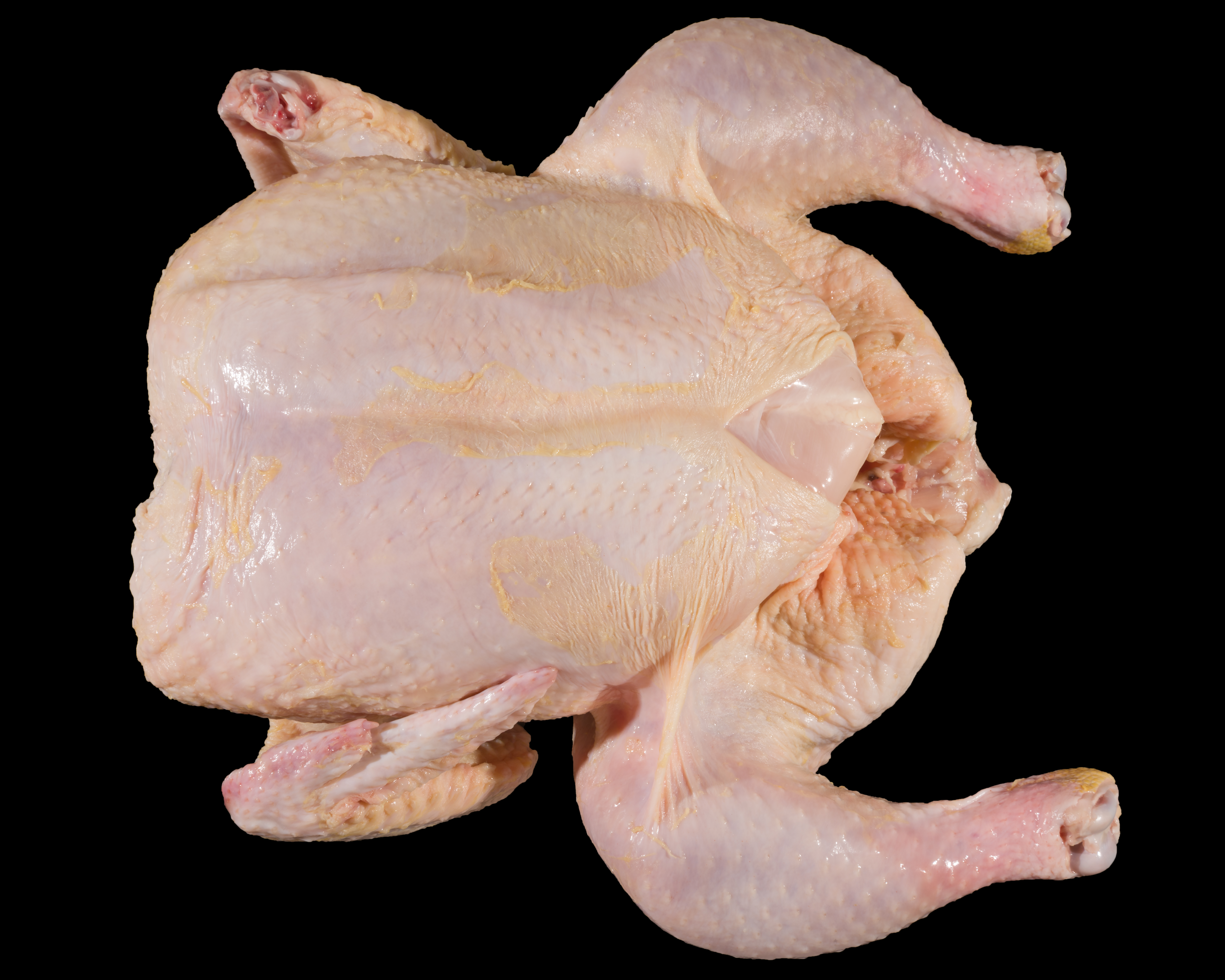 Grade A Whole Bird with Borderline Exposed Flesh on Breast Tip