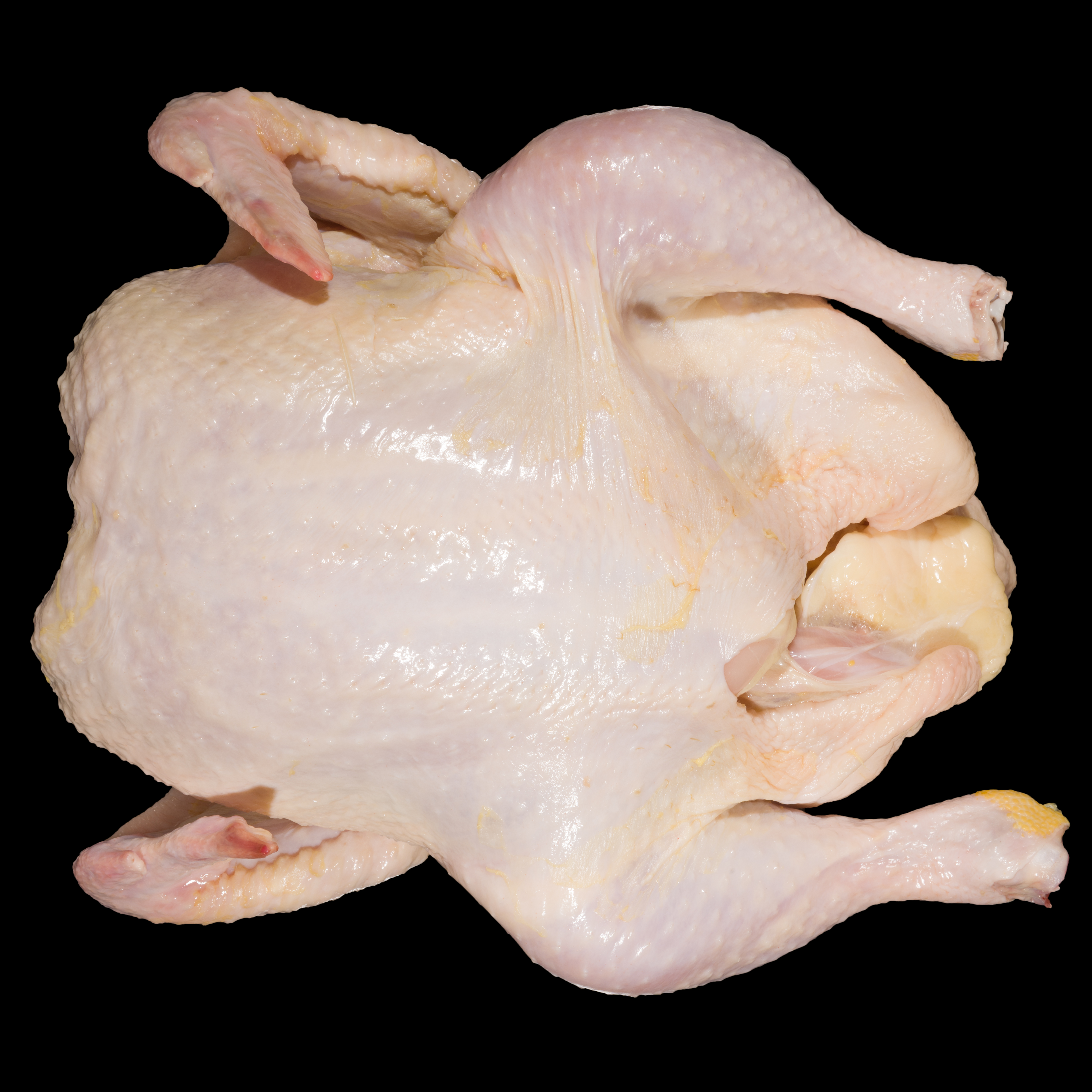 Grade A Whole Bird (Front)