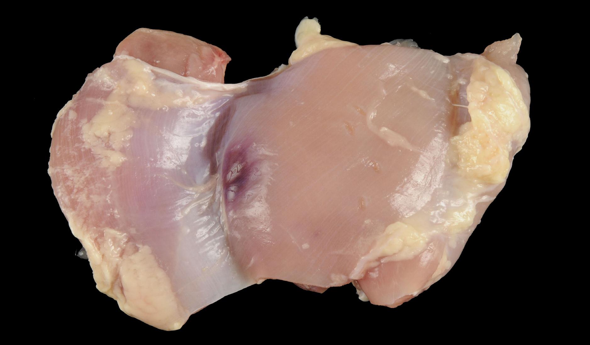 No Grade Boneless Skinless Thigh with Moderate Discoloration