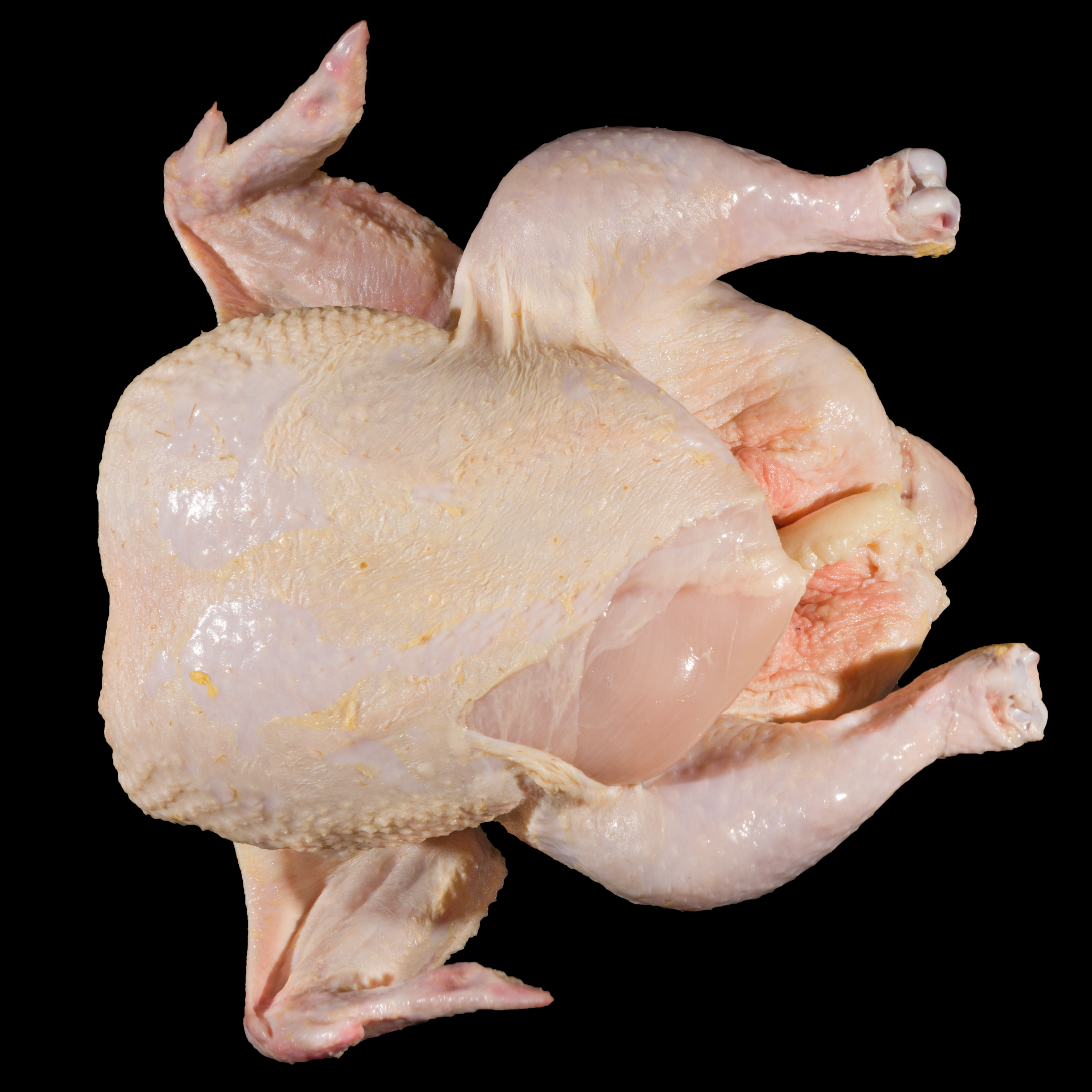 Grade B Whole Bird with Exposed Flesh on Breast Tip