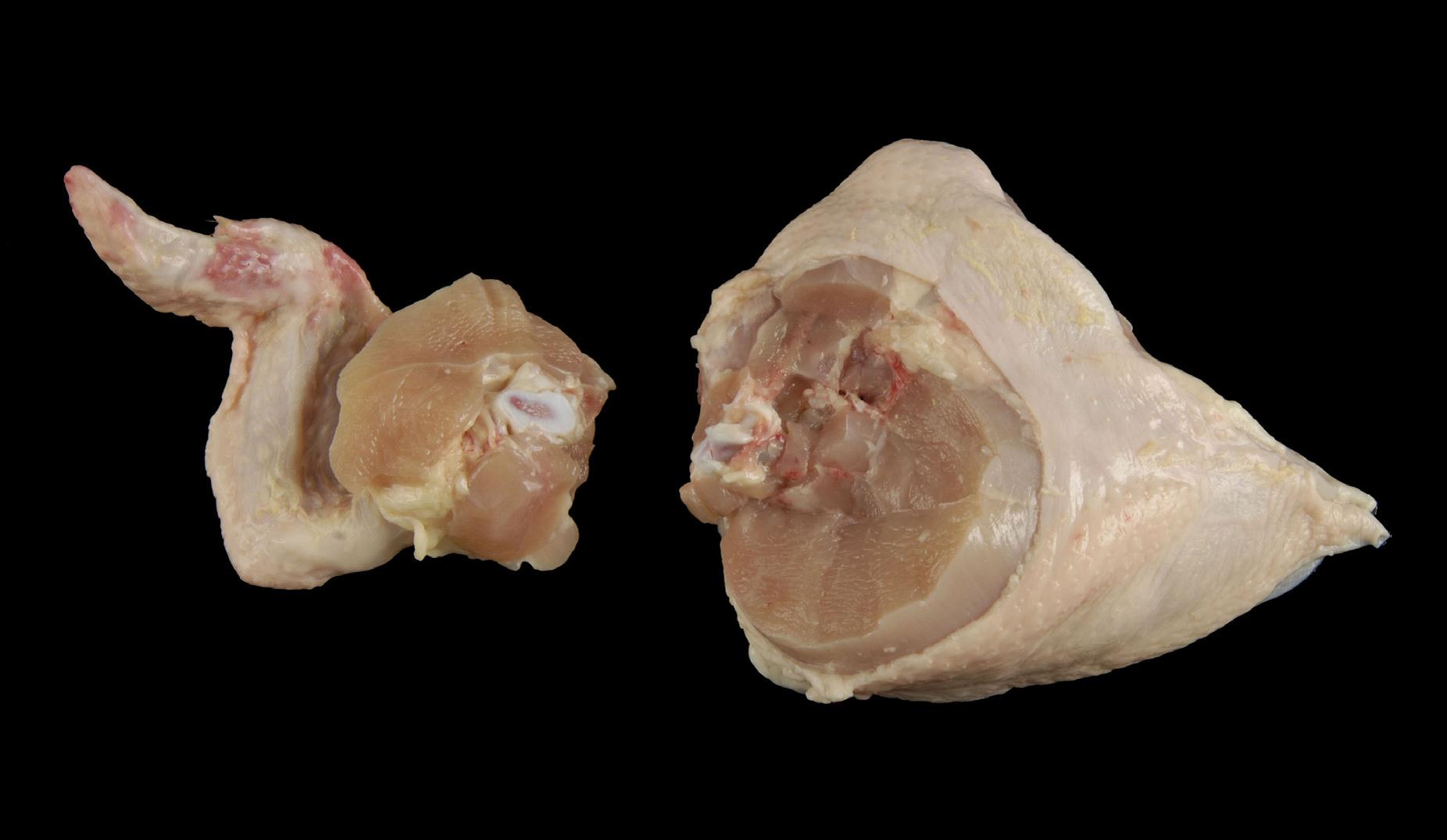 Grade C Split Breast with Grade A Wing