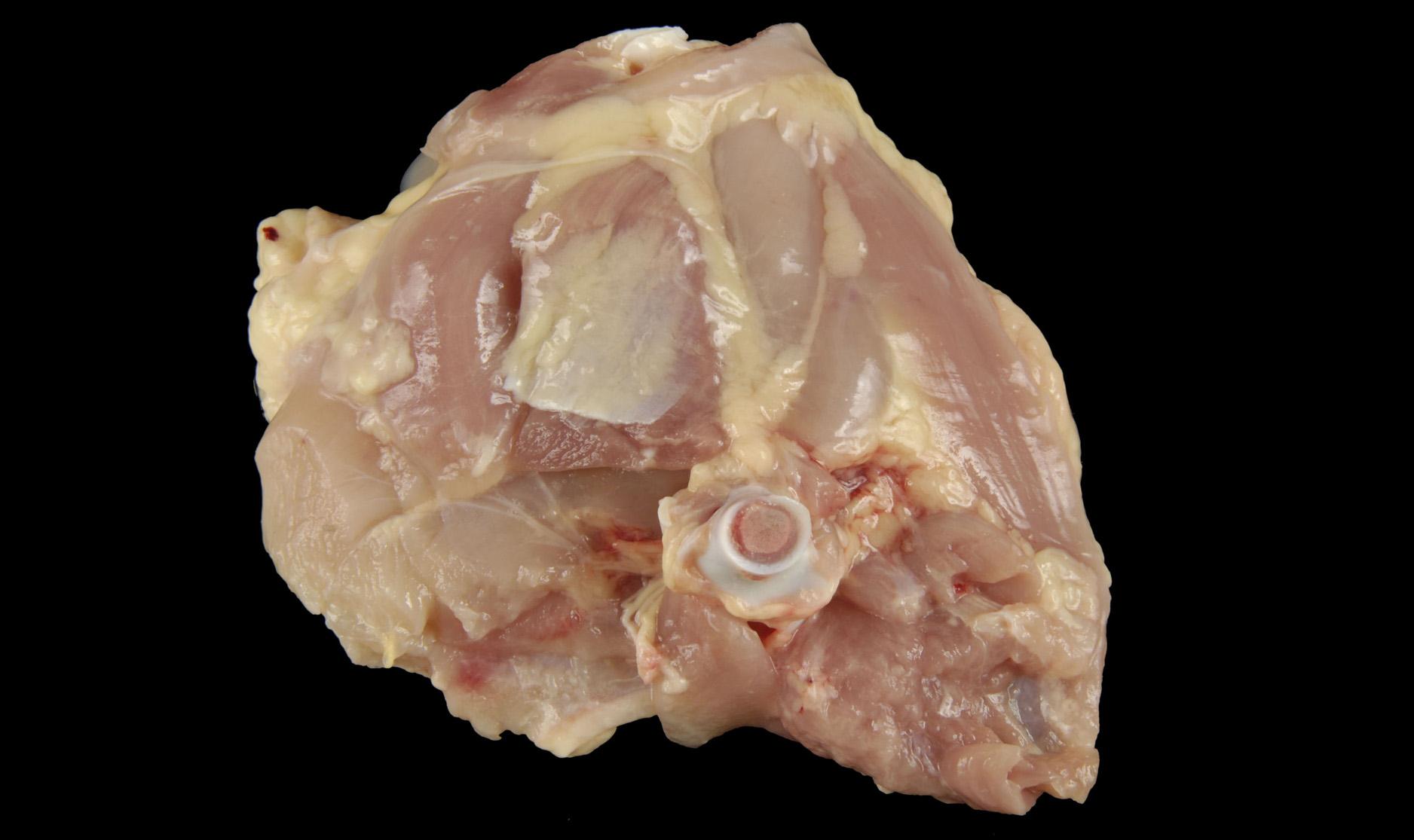 Photograph of Grade A Thigh with Femur Cap Removed