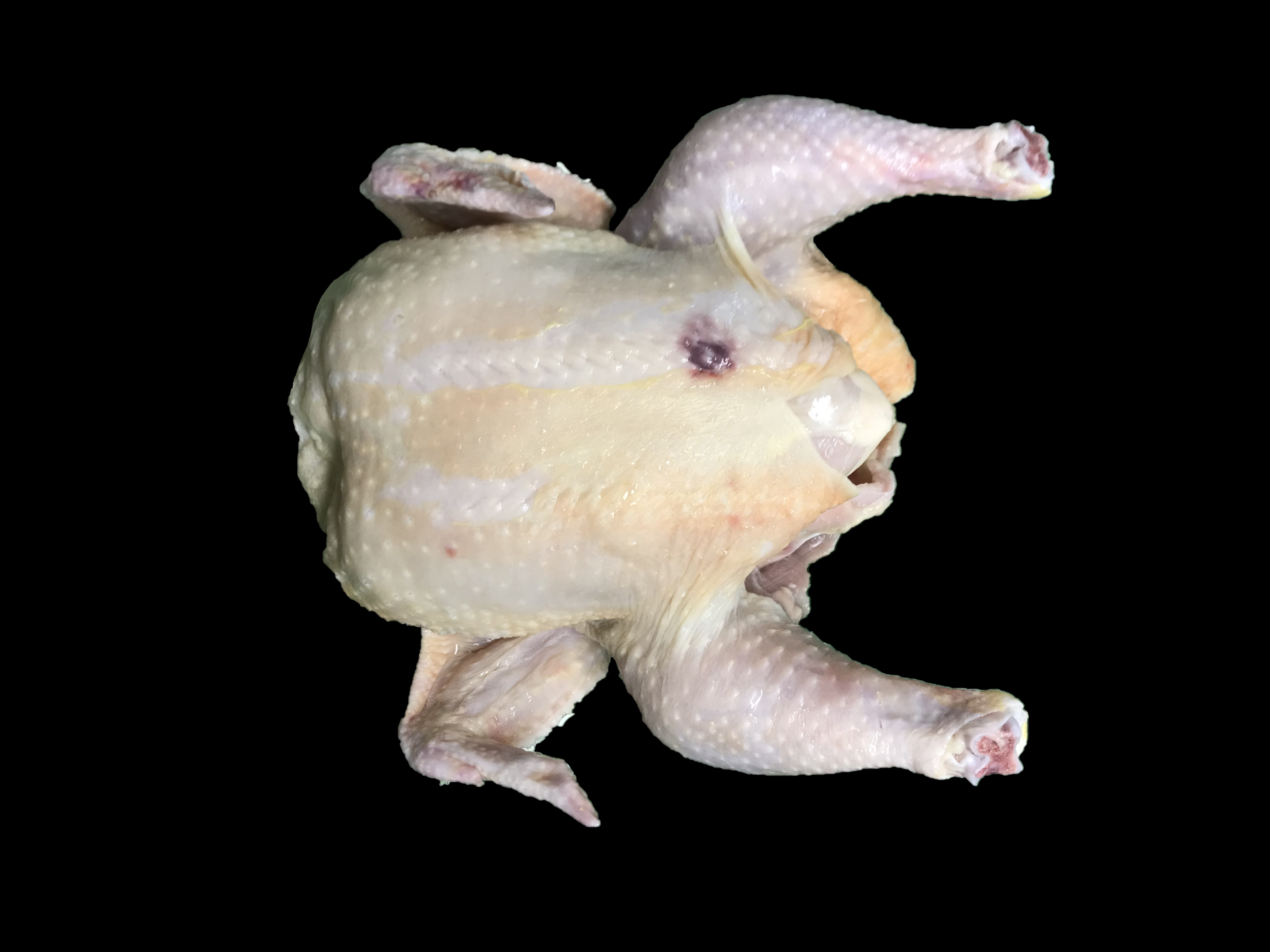 Grade B Whole Bird with Moderate Discoloration on Breast