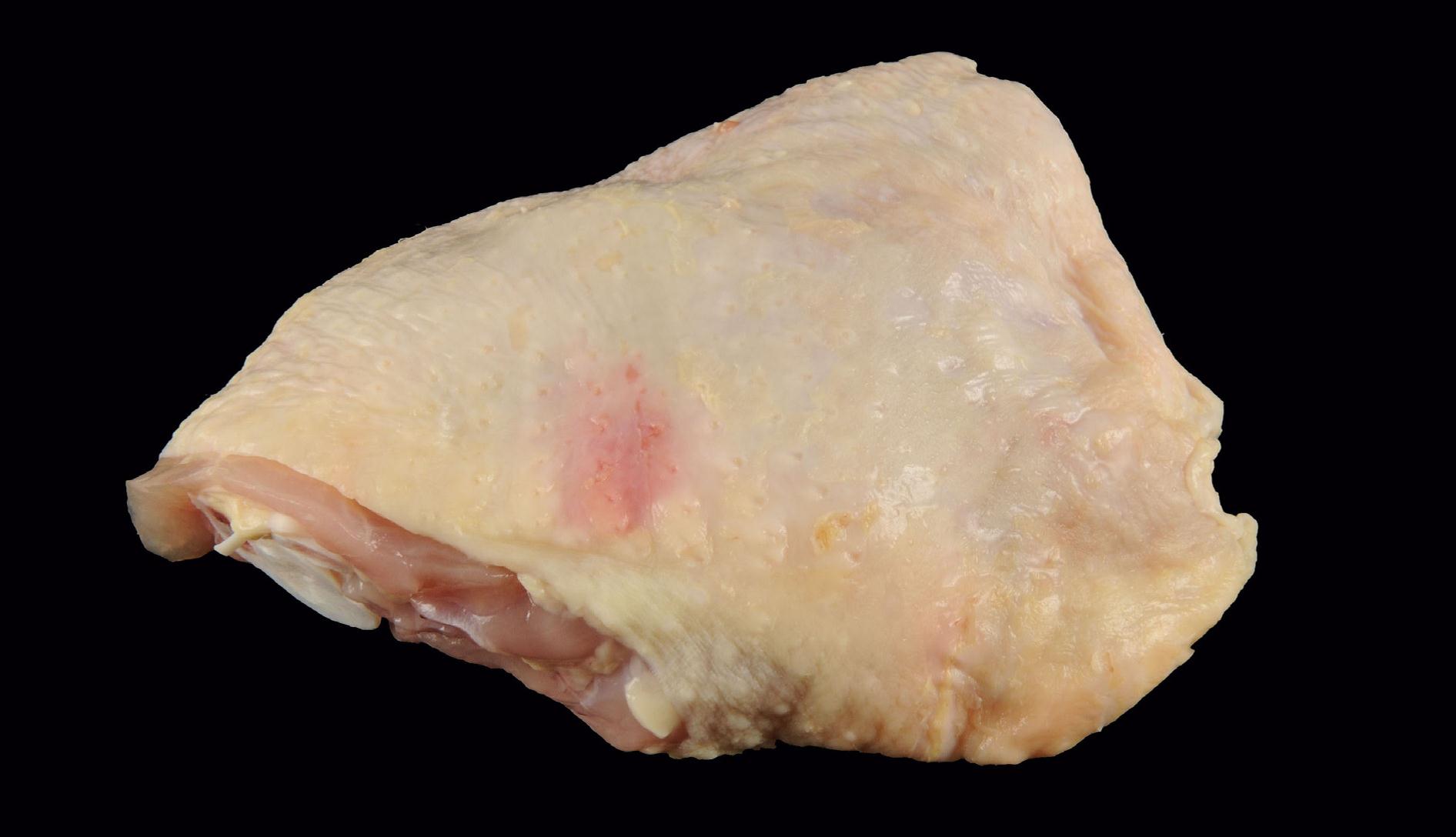 Photograph of a Grade A Chicken Thigh with slight discoloration