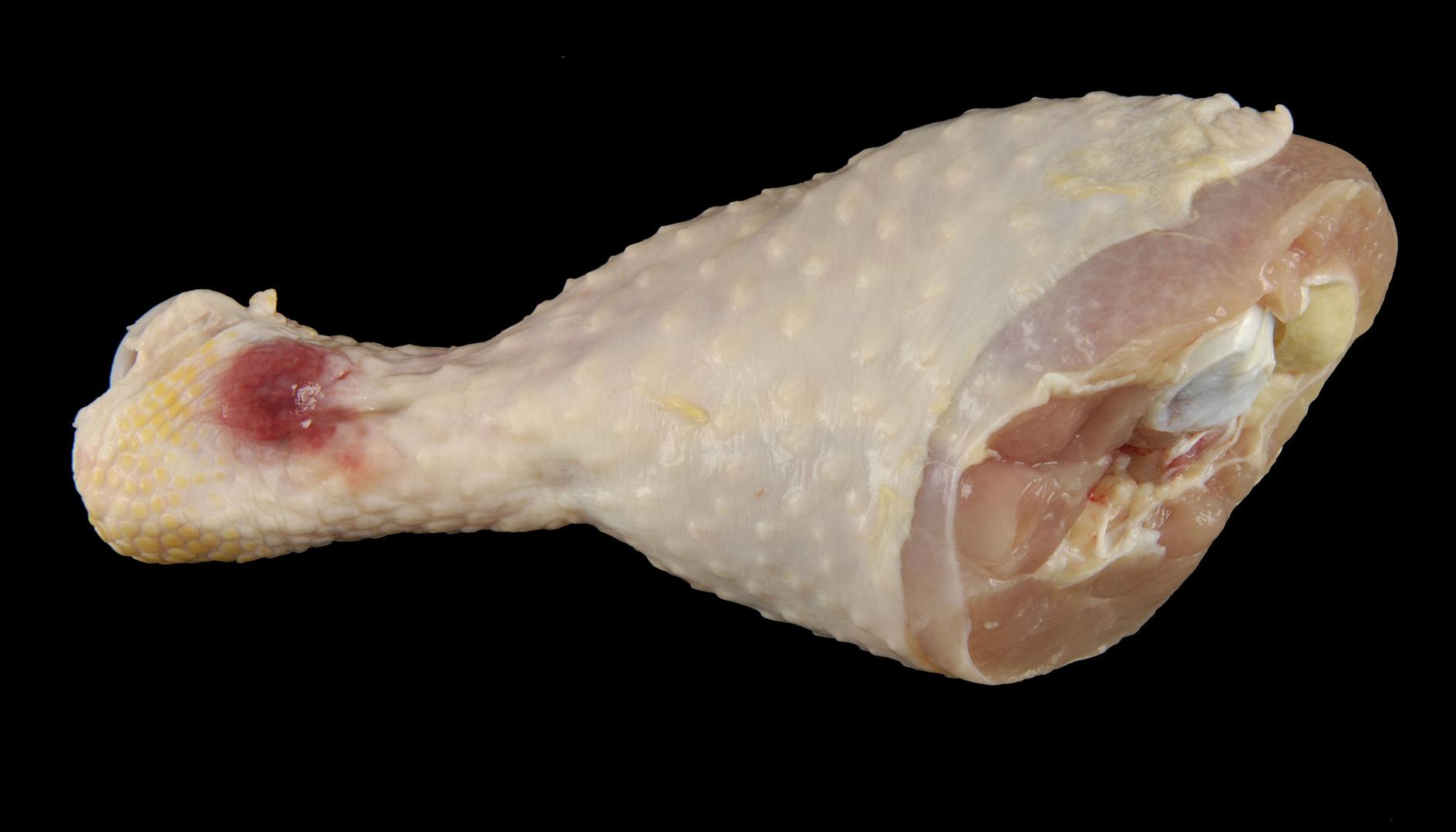 Grade A Drumstick Moderate Discoloration on Hock