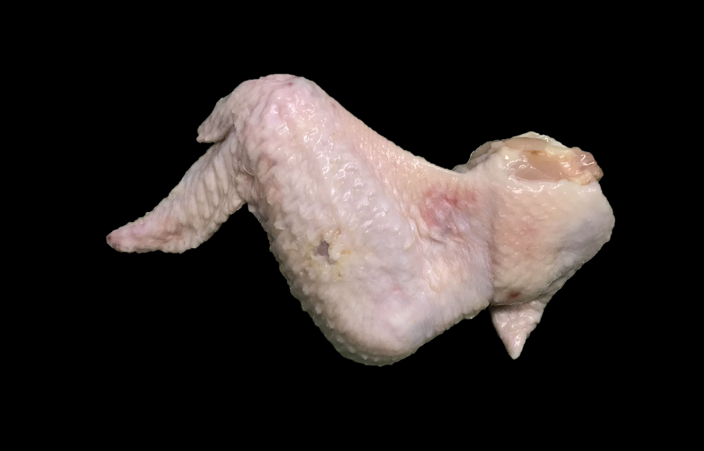 Grade A Wing with Exposed Flesh