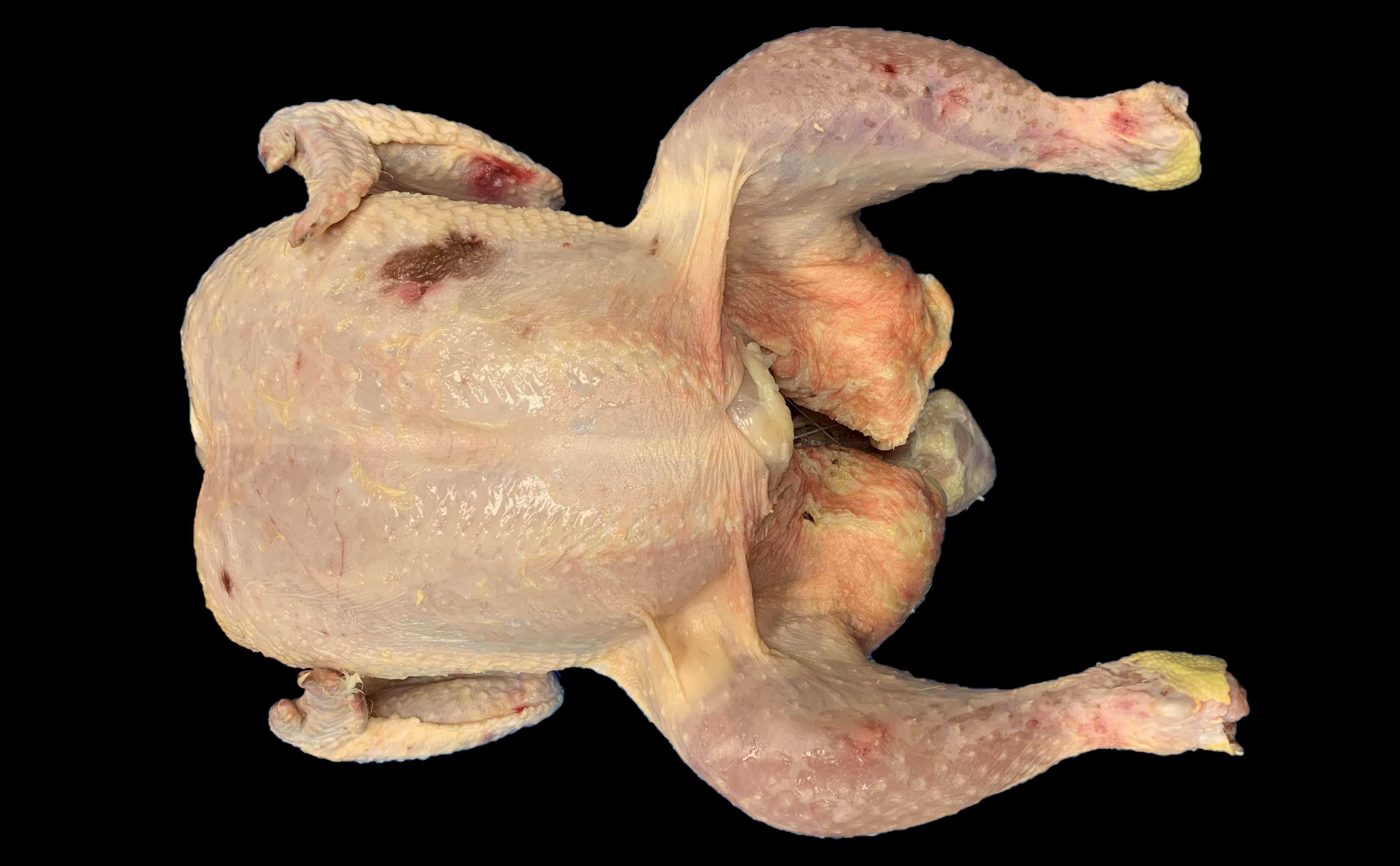 Grade C Whole Bird with Moderate Aggregate Discoloration 