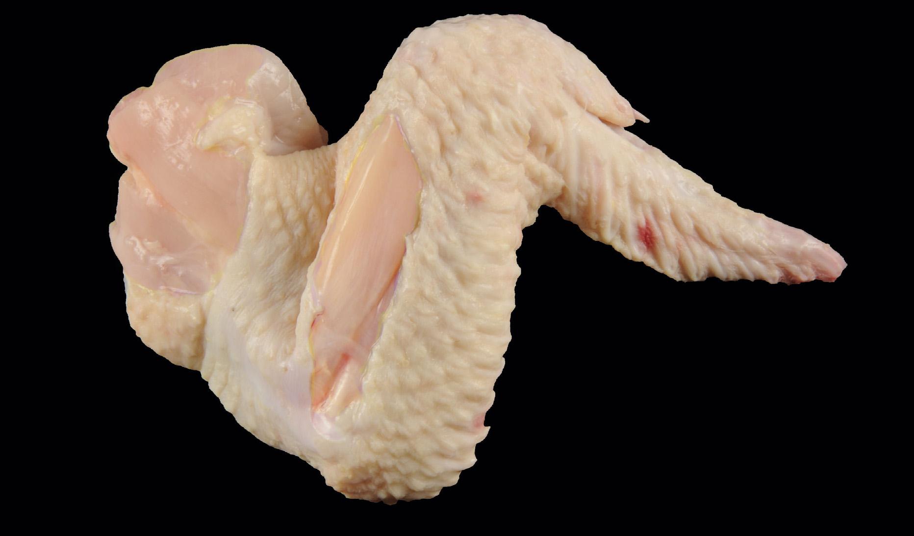 Grade B Wing with Exposed Flesh