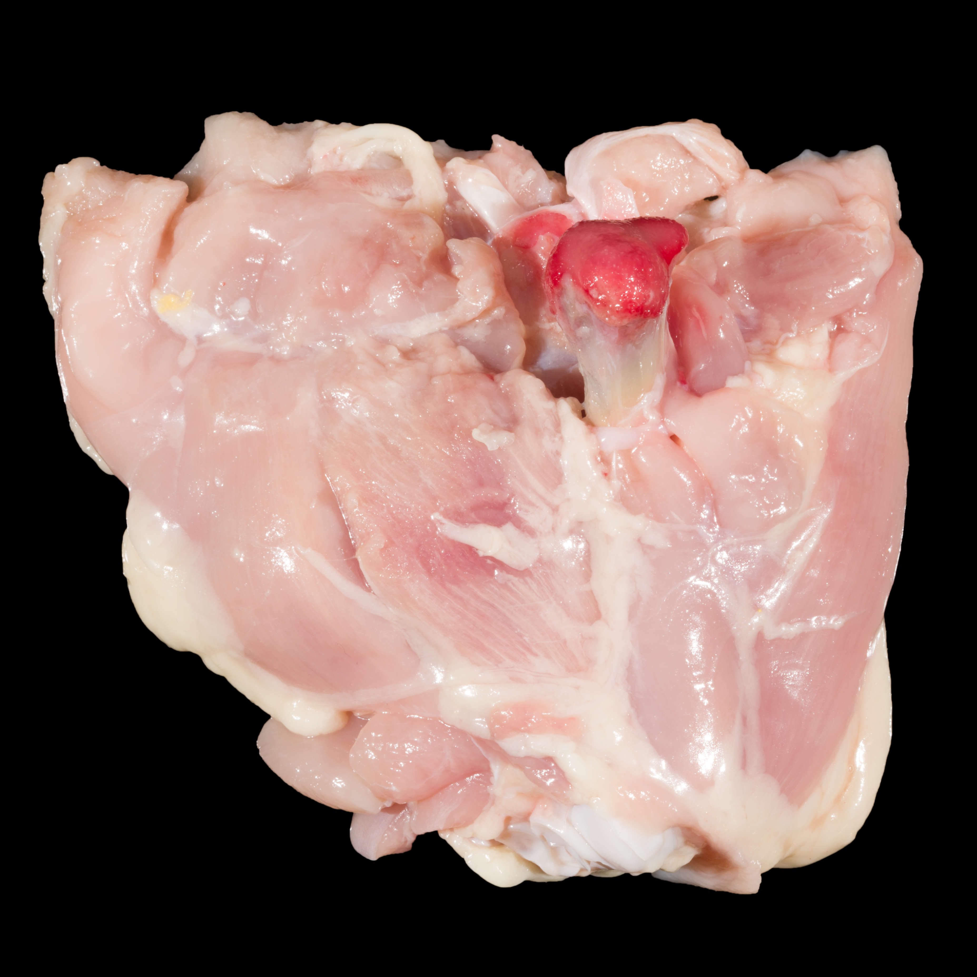 Photograph of Grade C Thigh Joint Miscut (Meat Not Attached to Back of Femur Cap)