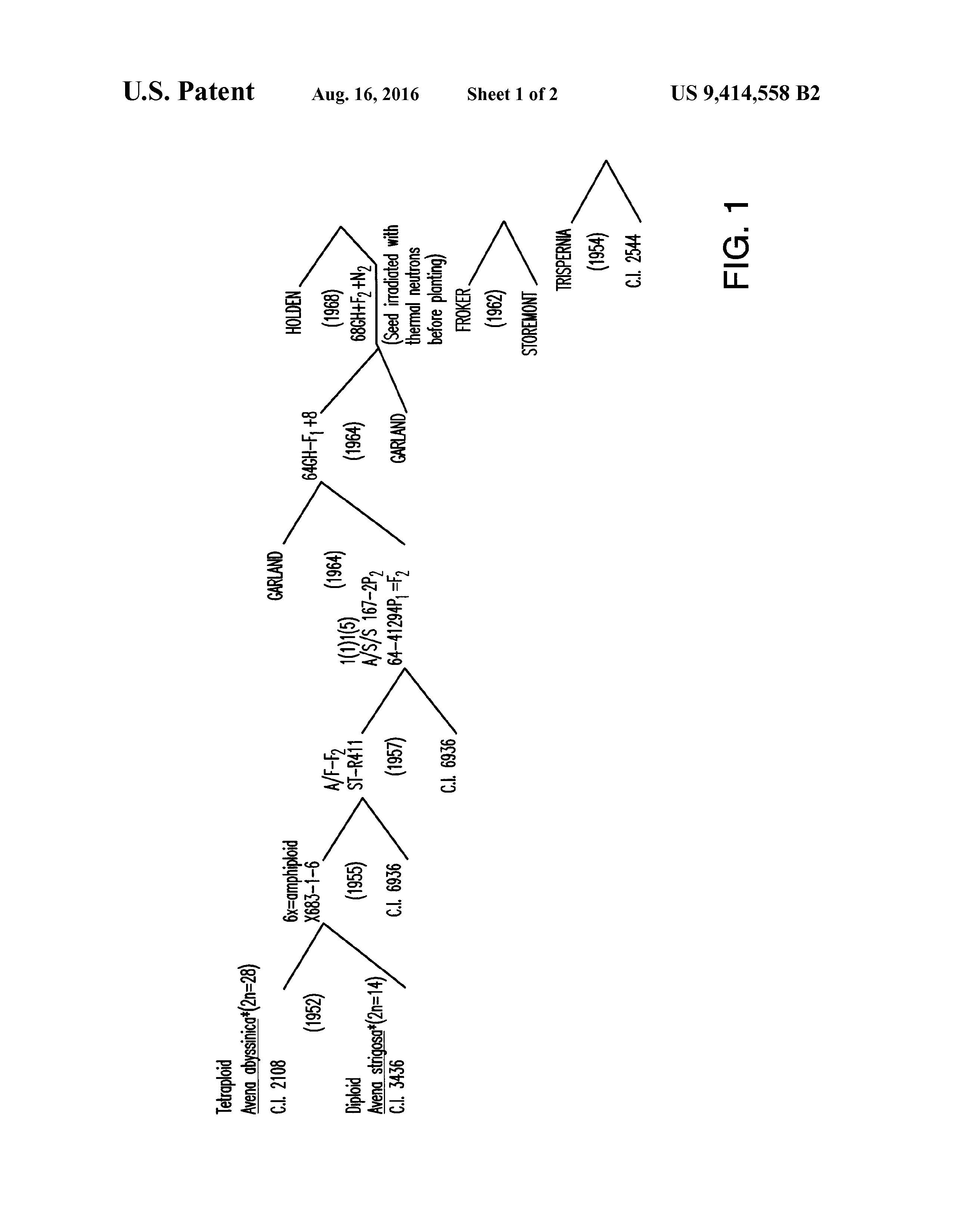 This is an example of the drawing page 1 from the document linked above in the hyperlink called "linked PDF" Please access that link for this information.