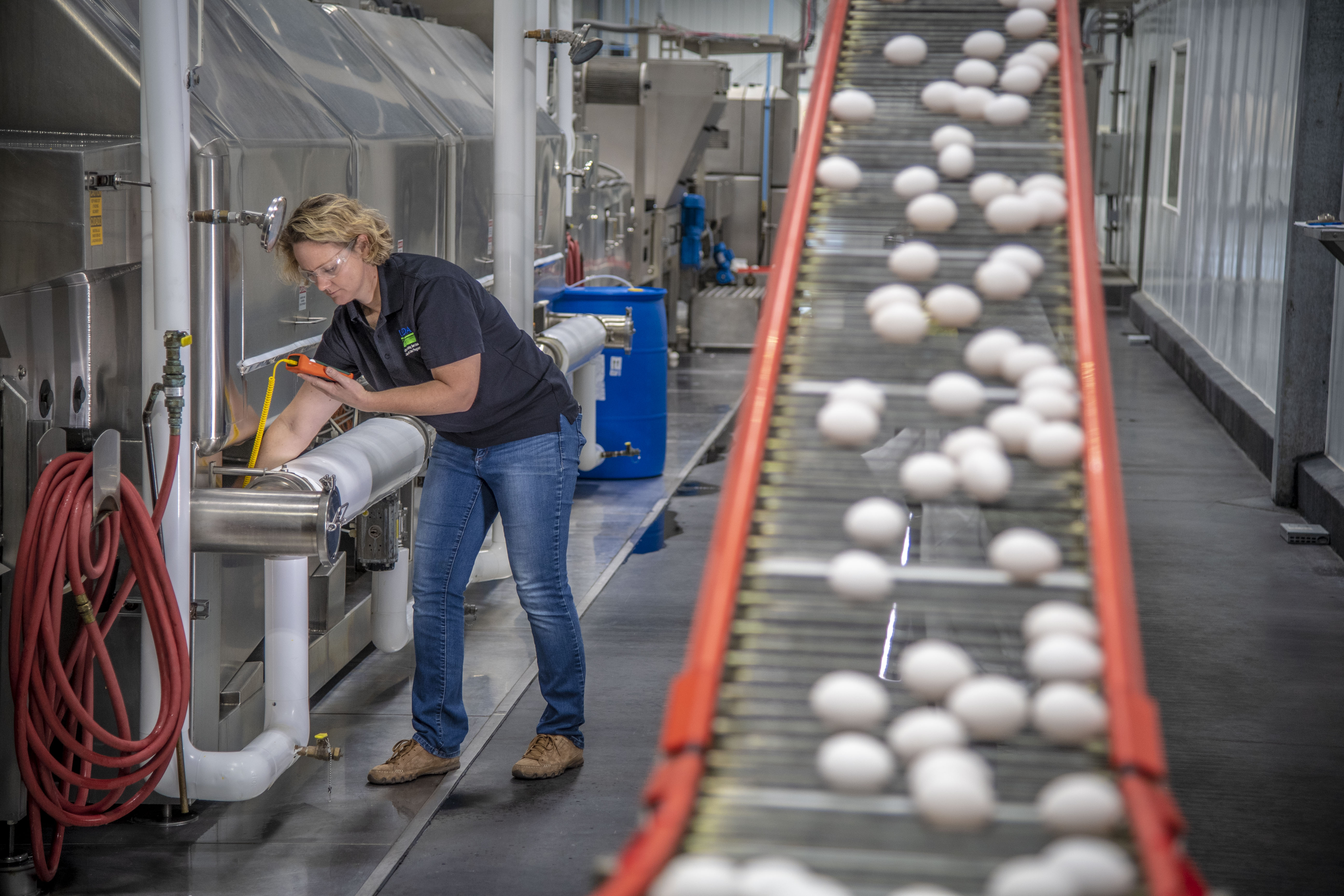 Woman working in an egg grading facility