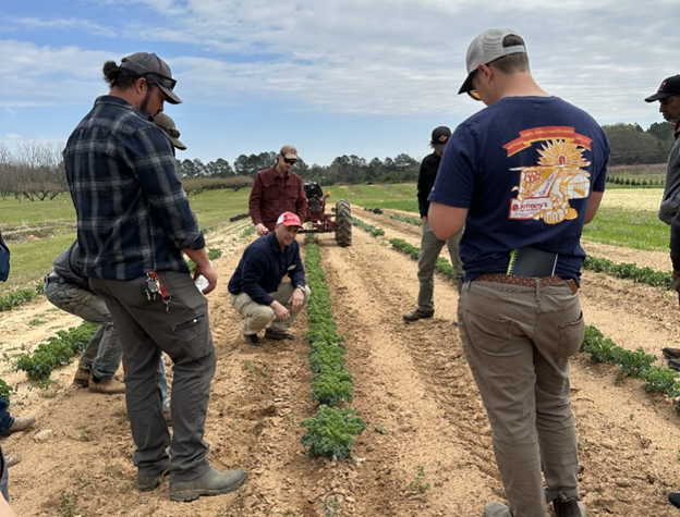 people standing in a field looking at crops