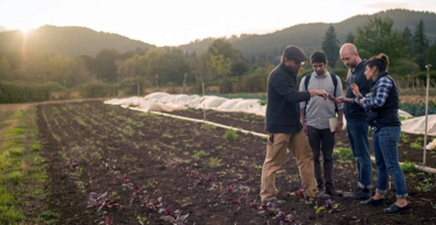 4 people consulting a phone while standing in a field