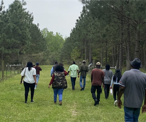 12 men and women walking in a filed lined by tall trees