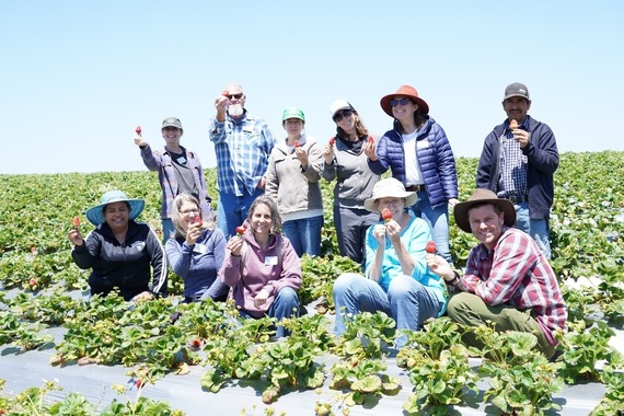 11 people standing and kneeling in a strawberry patch holding up strawberries